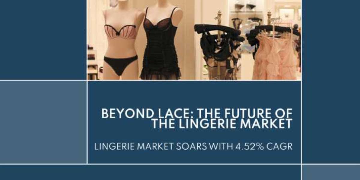 Lingerie Market Volume Forecast And Value Chain Analysis By 2030