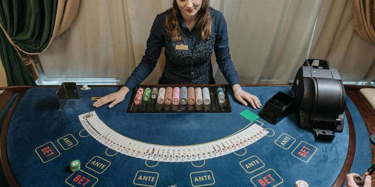Discovering the Truth: Evolution Casino and the Inavegas Scam Verification Community