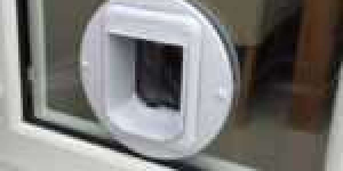 20 Myths About Cat Door Placement: Busted
