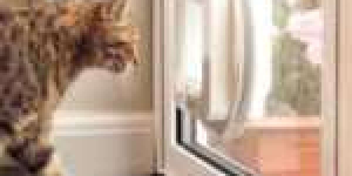 8 Tips To Increase Your Cat Flap Specialist Game