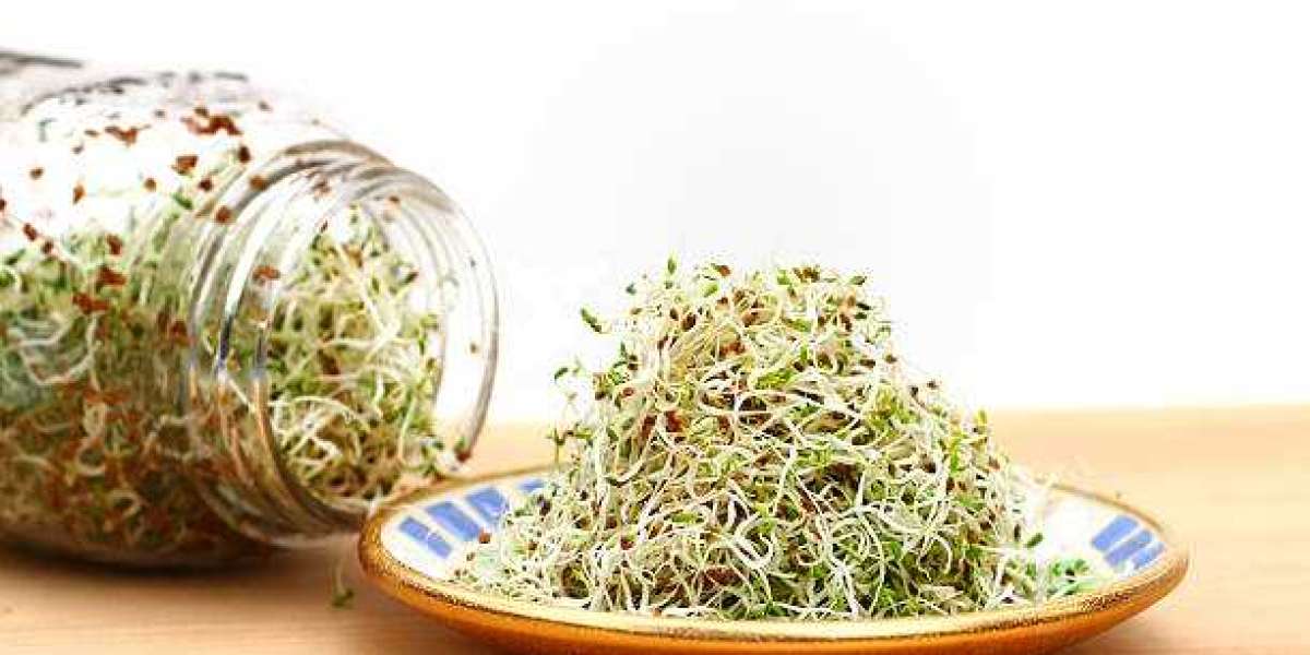 Alfalfa Market Top Companies, Sales, Revenue, Forecast And Detailed Analysis 2035