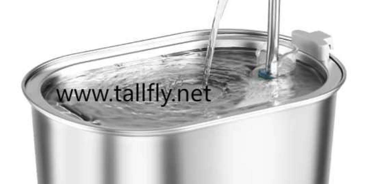 Transform Your Home Routine with Innovative Eco-Friendly Pet Water Fountains